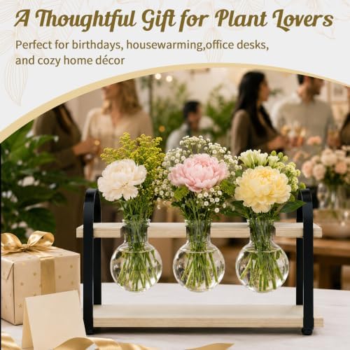 3-Bulb Plant Propagation Station, Glass Vase Terrarium, Retro White - Image 7