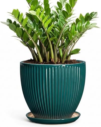 10 Inch Flower Pot, Round Ceramic Planters for Indoor Plants, Decorative Plant Pots with Drainage Hole and Saucer, Modern Large Planter, Office Decor, House Warming Gifts, Blackish Green by Unknown
