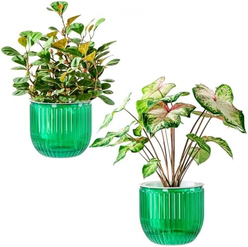 Melphoe Self Watering Pots for Indoor Plants Planter, 6.5 Inch 2 Pack Planters Self Watering Plant Pots for Flower, Houseplants, Succulent, African Violets and Cactus with Drainage by Melphoe