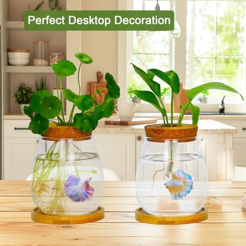 Desktop Plants Terrarium Propagation Station Hydroponic Planters Retro Oval Glass Vase with Lid and Stand Home Office Decoration Gifts 2 Pack - Image 5