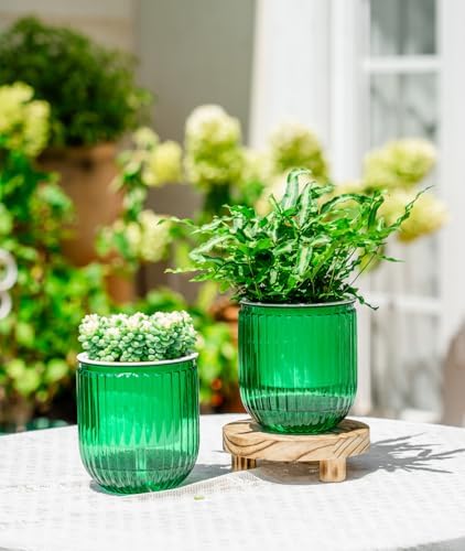 Melphoe Self Watering Pots for Indoor Plants Planter, 4.7 Inch 2 Pack Planters Self Watering Plant Pots for Flower, Houseplants, Succulent, African Violets and Cactus with Drainage - Image 2