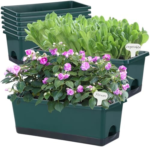Oliz Window Box Planter 8 Pcs, 17 Inches Rectangle Flower Pots with Drainage Holes & Trays, Vegetable Planters for Windowsill Patio Garden Balcony Home Indoor Outdoor (Dark Green, 16 * 7 * 6 inch) by Oliz