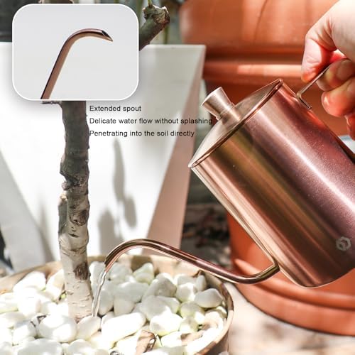 OFFIDIX Watering Can for Indoor Plants Long Spout Metal Stainless Steel 21 oz Small Watering Can with 14 oz Glass Plant Mister Spray Bottle for Plants Bonsai - Image 3