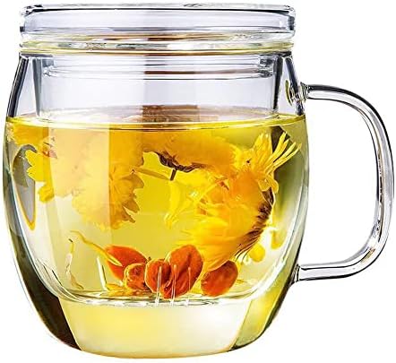 Glass Tea Cup with Infuser and Lid, 17 oz Clear Loose Leaf Tea Infuser Mug by Bunhut