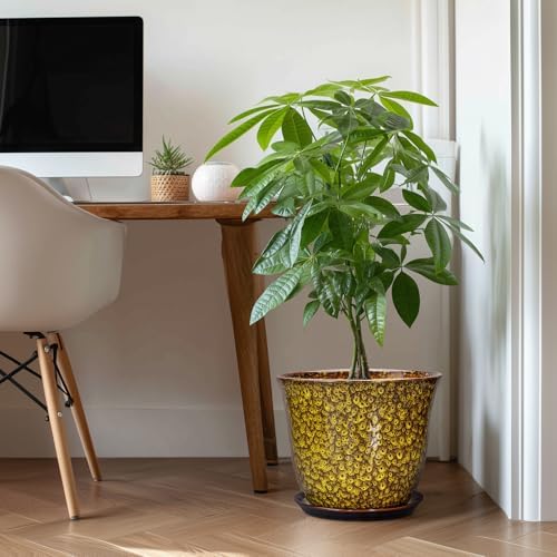 12 Inch Plant Pot - Ceramic Pots for Plants with Drainage Hole and Saucer, Round Planter for Indoor Outdoor, Large Flower Pots, Modern Planter, Patio House Decor, Plant Lovers Gifts, Yellow - Image 3