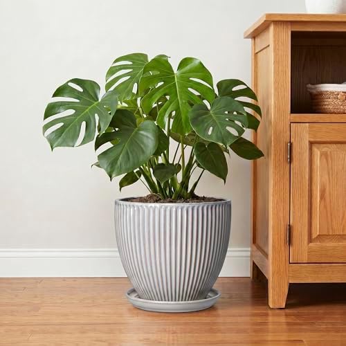 10 Inch Pots for Plants Indoor, Ceramic Planters with Drainage Hole and Saucer, Round Large Plant Pots for House Plants, Decorative Flower Planter, Porch Decor, Plant Lover Gifts, Grey - Image 6