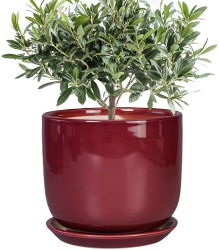 Ceramic Flower Pot for Plants - Cylinder Modern 8 Inch Plant Pot Indoor with Drainage Hole and Saucer, Home Office Room Porch Decor, Red by SUNPOTFOR