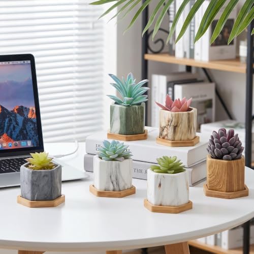 Ziliny Marbling Ceramic Flower Pot Succulent Small Plant Cactus Herbs Planter Ceramic Pot with Drainage Hole Matte Container(6 Pcs,Hexagon Style) - Image 5