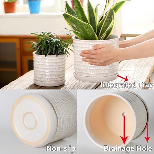 5.8 Inch Ceramic Planter with Drainage Hole & Bonded Saucer - Image 4