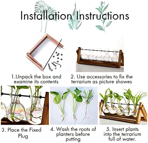 XXXFLOWER Plant Terrarium with Wooden Stand Desk Plant 5 Bulb Vase - Image 5