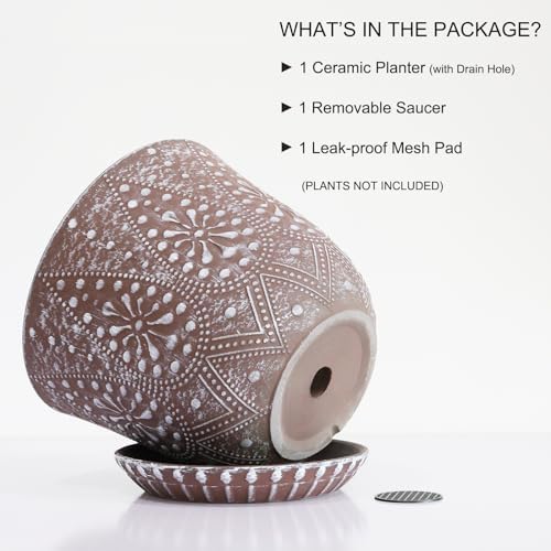 Gepege 10 Inch Ceramic Plant Pot for Indoor Plants with Drainage & Saucer - Image 2