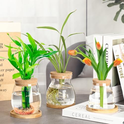 6 Pcs Glass Plant Propagation Station with Wood Lid & Stand, Novel Style - Image 3