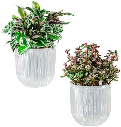 Melphoe Self Watering Pots for Indoor Plants Planter, 5.3 Inch 2 Pack Planters Self Watering Plant Pots for Flower, Houseplants, Succulent, African Violets and Cactus with Drainage by Melphoe
