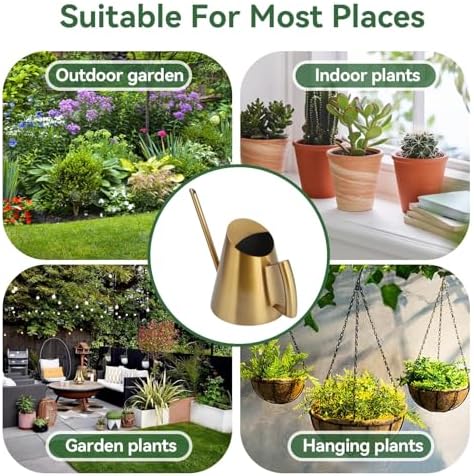 Watering Can for Indoor Plants, 13.5 Oz/400 Ml Indoor Plant Watering Can Stainless Steel Small Water Cans with Long Spout for Plants Succulent Bonsai, 4 X 4.9 Inch - Image 6