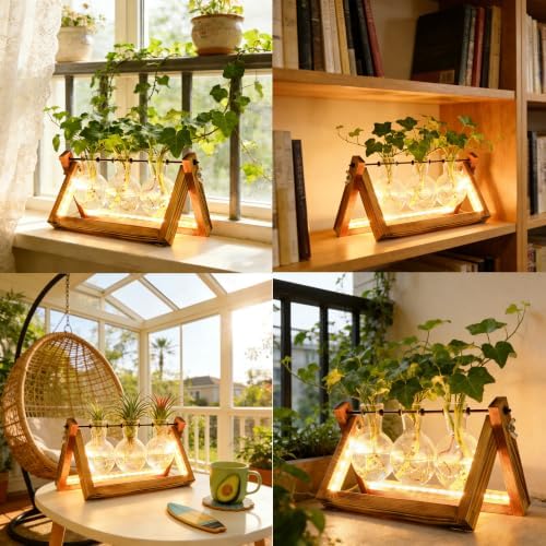 Plant Propagation Station with 9-Speed Adjustable LED Lights Air Planter Bulb Glass Vase Wooden Stand Plant Terrarium for Hydroponic Plants for Plant Lovers Home Garden Office - Image 7