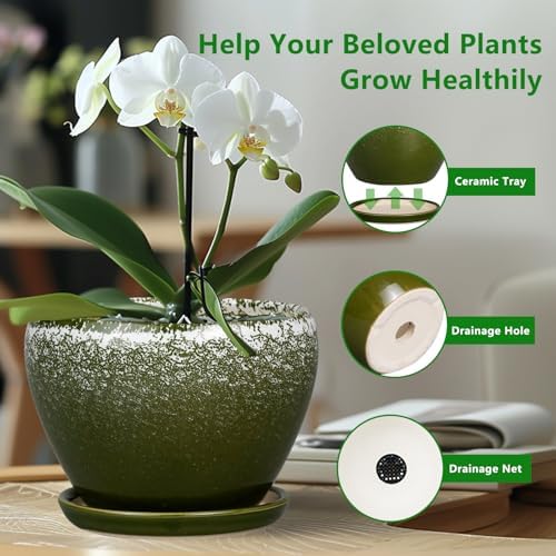 Ceramicfor 8 Inch Plant Pot - Ceramic Planter with Drainage, Dark Green - Image 6