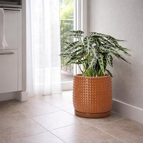 D'vine Dev Beaded Ceramic Pot with Saucer, 8 in, Pumpkin, 27-C-Q-J - Image 2