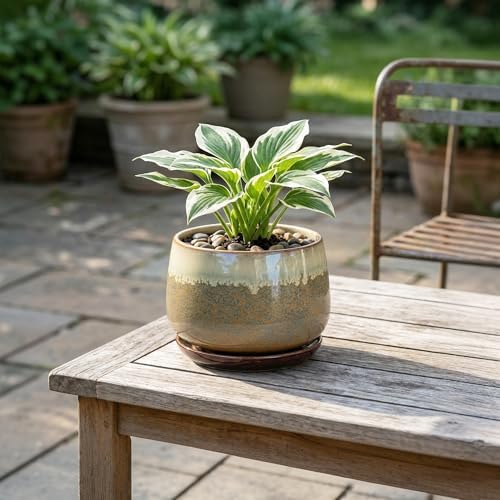 Ceramic Pots for Plants, 6 Inch Plant Pot Indoor, Brown-Beige - Image 5