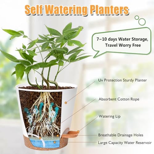 Vanslogreen Planters for Indoor Plants 7/6.5/6/5.5/5 Inch, Self Watering Planters with Drainage Holes and Saucers 5 Pack Plastic Pots for Plants, Succulents, Herbs, Cactus, Flower Pots, White - Image 2