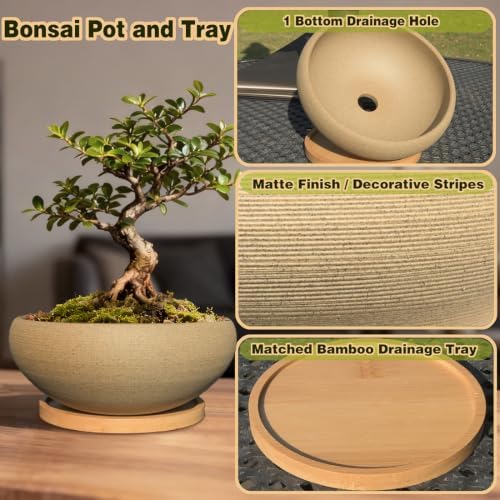 MUZHI 8 inch Round Unglazed Ceramic Bonsai Pot with Bamboo Tray, Shallow Plain Pottery Succulent Planter with Drainage Hole (8”) - Image 3