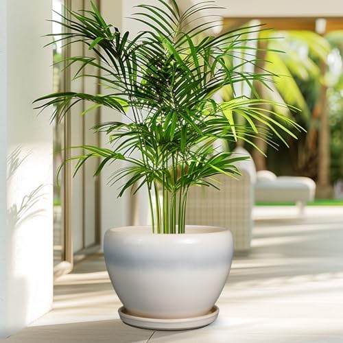Ceramicfor 10 Inch Ceramic Planter Pot, Cream White - Image 6