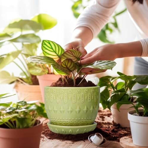 G EPGardening Ceramic Planter 5.5 Inch, Boho Plant Pot Indoor, Green - Image 4