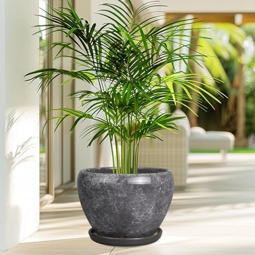 Ceramicfor Ceramic Planters for Indoor Plants - 10 Inch Plant Pot with Drainage Hole and Saucer, Large Flower Pot for Home Decor, Gray - Image 6