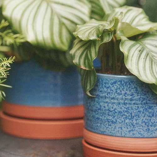 HERDUK 8 Inch Pots for Plants, Ceramic Planter Pot with Drainage Hole & Saucer, Indoor/Outdoor Cylinder Round Planter Pot, Blue & Terracotta - Image 5