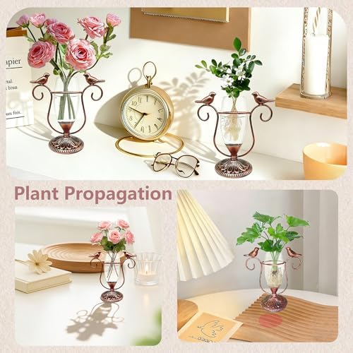 Desktop Plant Propagation Station, Plant Terrarium with Metal Stand - Image 5
