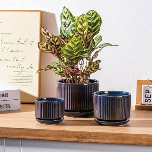 SURE YUESI Ceramic Plant Pots Set of 3, Indoor Outdoor Planters with Drainage Hole and Saucer, Ceramic Flower Pots for Indoor Plants, 4.3+5.5+6.8 Inch, Home, Garden, Patio and Office, Glossy Blue - Image 3
