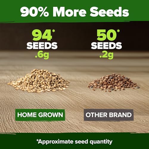 HOME GROWN Banana Pepper Seeds, 94+ Seeds, Capsicum annuum - Image 3