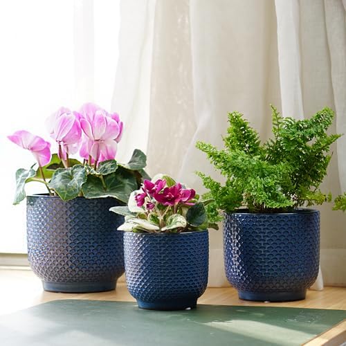4 + 5 + 6 Inch Ceramic Pots for Indoor Plants, Succulents Plant Pots, Orchid Flower Pot with Drainage Hole, Modern Clay Stoneware Planters, Set of 3 (Dusty Blue, 4+5+6 Inch) - Image 4