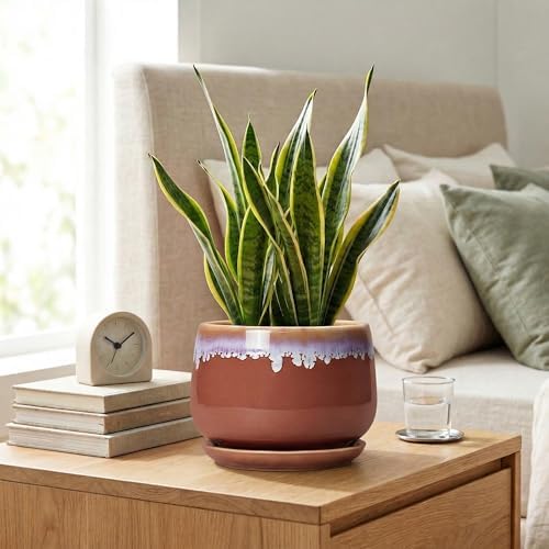 Ceramic Pots for Plants 7 Inch - Ceramic Planters for Indoor Plants, Indoor Plant Pots with Drainage and Saucer, Decorative Round Flower Pot, Garden House Room Decor, Plant Gifts, Red-Purple - Image 7