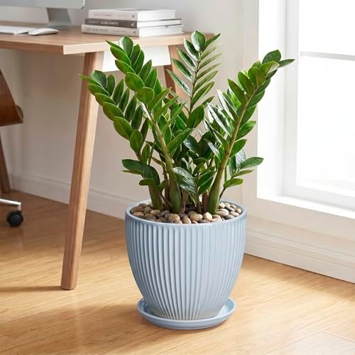 10 Inch Pots for Plants, Ceramic Plant Pots with Drainage Hole and Saucer, Modern Flower Pots for Indoor Plants, Decorative Large Planter, Entryway Decor, Gardening Gifts, Light Blue - Image 3