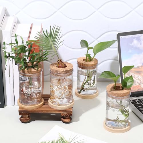 Baderke 12 Pack Plant Propagation Jars Cork Lids Bamboo Stand,Awesome - Image 6