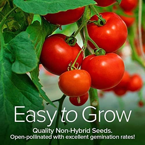 Tomato Growing Kit – Grow 8 Varieties of Delicious Tomatoes – Non-GMO Heirloom Seeds, Complete Indoor & Outdoor Tomato Seed Kit, Our Tomato kit is Perfect for Home Gardens & Fresh Cooking - Image 7