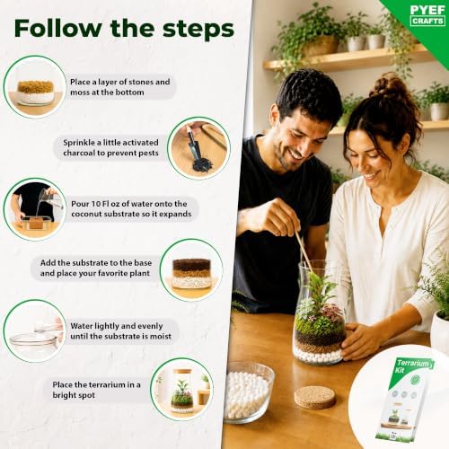 Terrarium Kit for Plants DIY - Image 3
