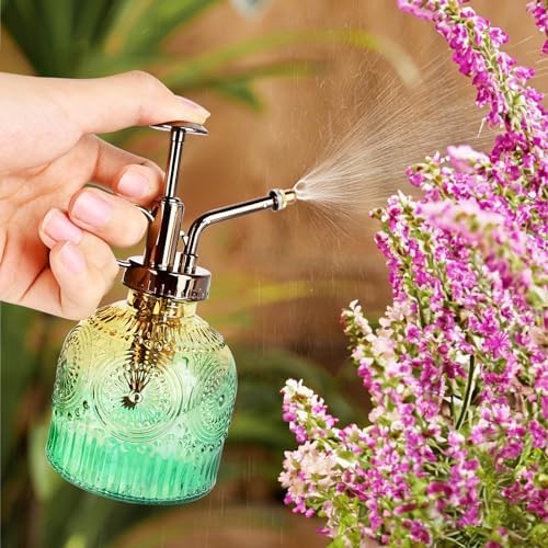Glass Plant Mister Spray Bottle, 230ML Vintage Plant Spritzer, Succulent Watering Bottle Glass with Top Pump, Small Plants Sprayer Watering Can for Indoor Outdoor House - Image 2