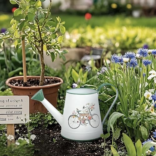 Small Metal Watering Can for Indoor & Outdoor Plants Garden Decor - Image 6