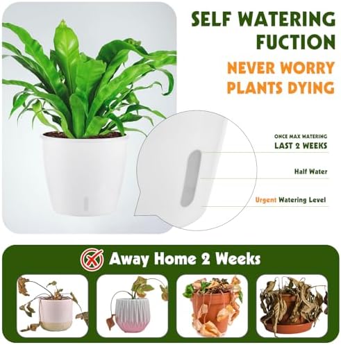 Self Watering Pots for Indoor Plants, 12-Pack 5'' Self Watering Planter with Drainage Holes, Small African Violet Pots with Water Indicator, Clear Wick Pot, White/Black/Blue/Rose Gold - Image 4