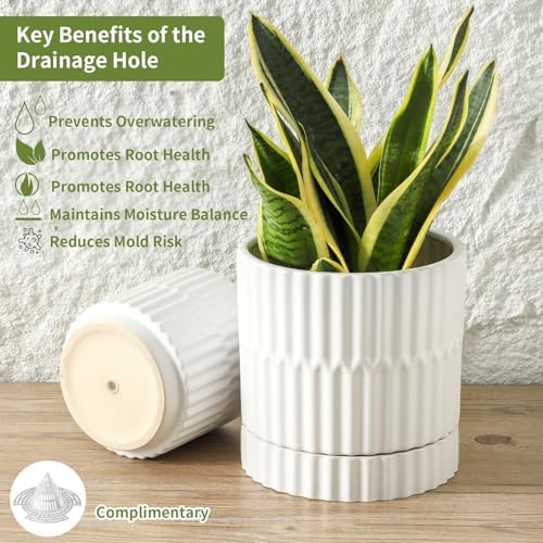 HASENSE Ceramic Plant Pots Set of 3, 8/6/4.6 Inch Cylinder Flower Planters with Drainage Saucers, Vertical Ribbed Modern White for Home Office & Outdoor Plants - Image 7