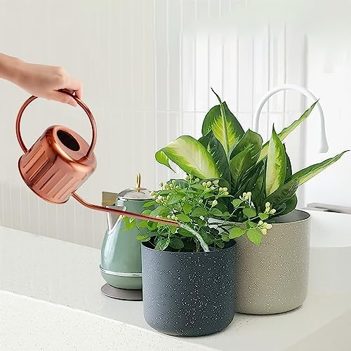 34oz/1L Stainless Steel Watering Can - Indoor/Outdoor Plant Watering Can with Long Spout, Rust-Proof for Succulents, Houseplants, Garden - Modern Minimalist Design (Copper Color) - Image 4
