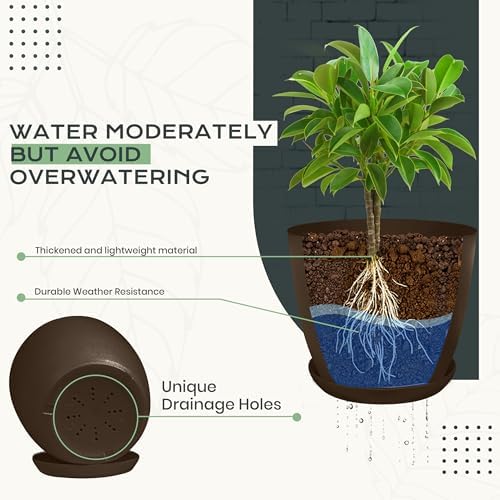 Plant Pots Indoor with Drainage, 10 Pack Multi-Size Planters Set, Brown - Image 3