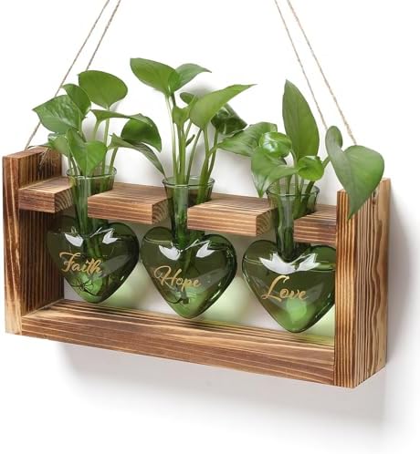 Plant Terrarium Propagation Stations Hydroponics by MTsigns