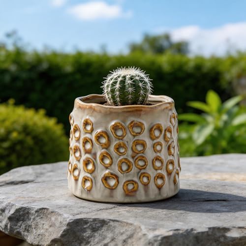 Plant Flower Pot, Small Ceramic 4.5" Modern Flower Pots for Home Office Indoor Outdoor Planters, Planter for Orchid Succulent Cactu Floral, Handmade Textured with Irregular Circle without Drainage - Image 3