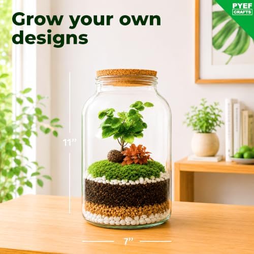 Terrarium Kit for Plants DIY (1 Gallon) - Image 4