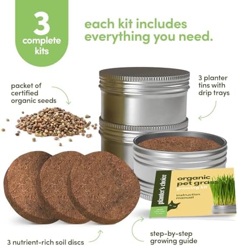 Cat Grass for Indoor Cats Kit - 3 Complete Growing Organic Planter Kits - Image 2