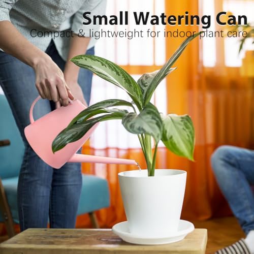 60 oz Watering Can, Watering Can Indoor Plants, Long Spout Small Water can - Image 3