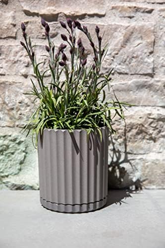 Veradek Demi Series Demi 6" Planter w/Tray - Grey, 2 Pack - Image 6