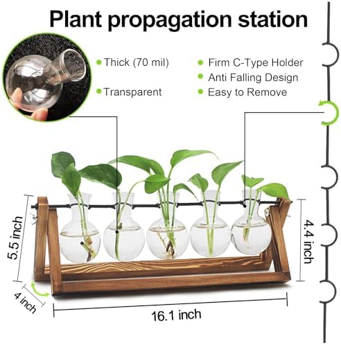 Renmxj Plant Propagation Stations with Wooden Stand & 5 Glass Bulb Vases - Image 2